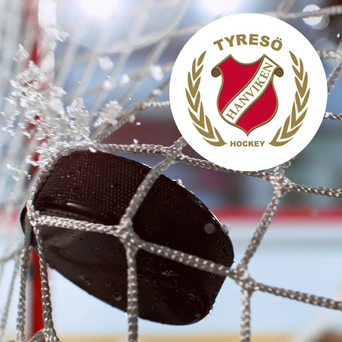 Plåtslagaren sponsor